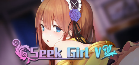 寻找女孩5（Seek Girl V） 官方中文特别版 休闲益智游戏